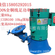 3kw excitation synchronous inclined stroke type hydroturbine generator power generator micro water turbine