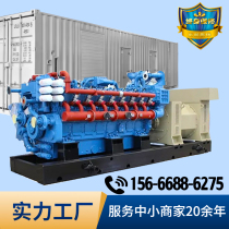 Gas natural gas generator set 200 500 kilowatt biogas large equipment machine 380V three-phase high power
