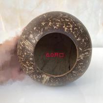 Natural coconut shell old coconut shell small opening smooth coconut shell kindergarten DIY succulent planting flower pot crafts