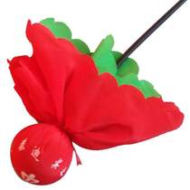 Fitness ball Tai Chi special Hebei throw ball flow single package competition fitness ball planet post throw old age Wuji Teddy brand