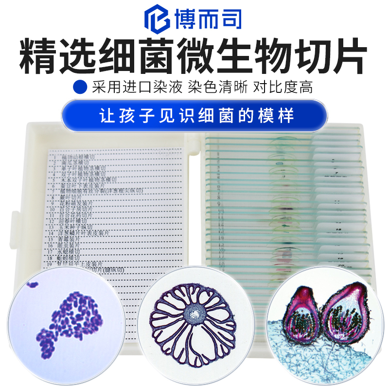 Boros Microscope Biological Specimen Slide Observation Accessories Animal and Plant Cells Insects Bacteria Microorganisms High-Definition High-Transparency Sample Glass Slides Children's Student Teaching Set Experiment