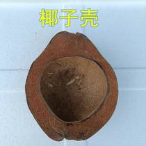 Natural boat-shaped coconut shell empty shell scented candle raw material coconut shell creative ornaments 2 pieces