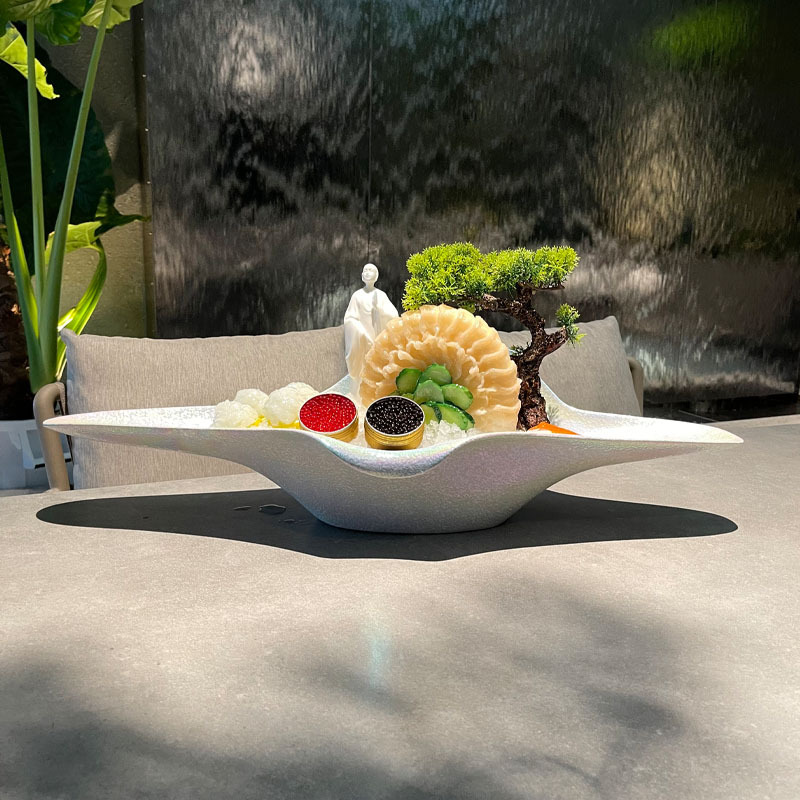 New Internet Celebrity Popular Ceramic Sashimi Plate Classy Seafood Plate Australian Dragon Special Ice Plate Japanese Hot Pot Plate