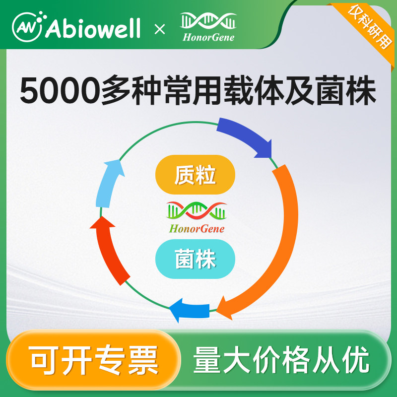 艾碧维 pCAMBIA1300-nLuc  pCAMBIA1300-cLuc  质粒菌株 植物LCA