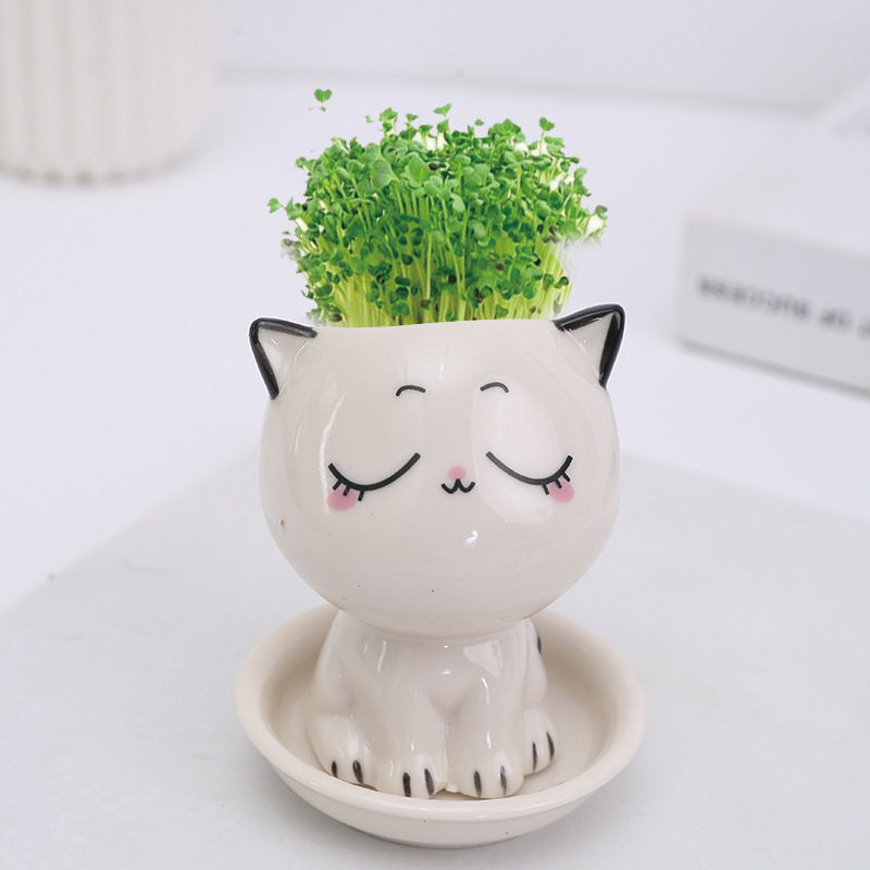 一花一草爱世界