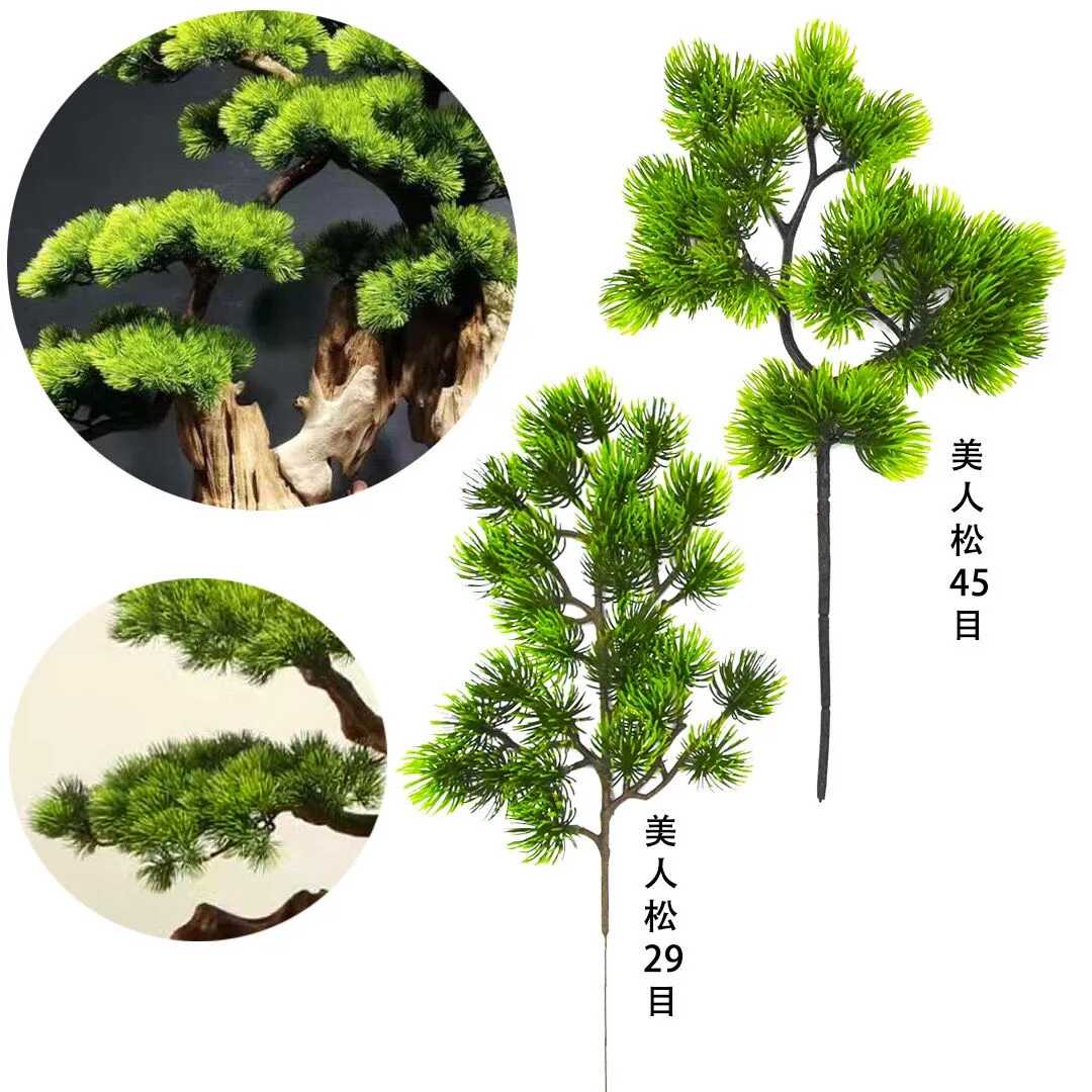 松树盆景植物- Top 1000件松树盆景植物- 2026年1月更新- Taobao