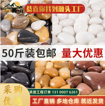 Shanghai cobblestone wholesale garden landscaping black and white Yuhua stone artificial river substation special river pebbles