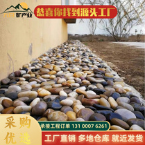 Hunan cobblestone wholesale garden landscaping black and white Yuhua stone artificial river substation special river pebbles