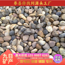 Chongqing Pebble River Pebble substation special river paving pebble filter material garden landscaping