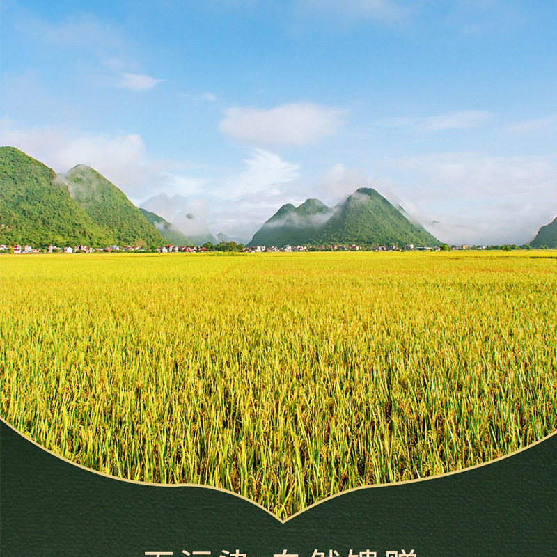 安享好物 安享C级粳米-苏扬茉莉香米 国标 