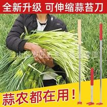 New garlic moss puller garlic sprouts knife garlic moss harvesting tool garlic moss pulling knife garlic sprouts knife garlic moss pinning knife