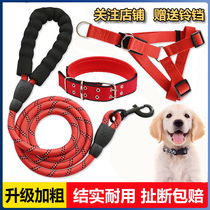 Extended dog leash dog collar dog walking teddy golden retriever pet large medium small dog chain
