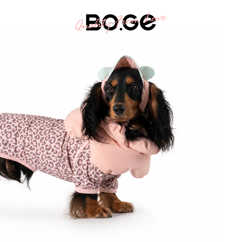 Boge6+July Fan Group Birthday Gifts+June Giveaway Boge6+July Fan Group Birthday Gifts+June Giveaway
