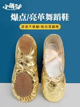 Golden dance shoes for children and girls soft-soled practice shoes silver bright leather adult body ethnic belly dance cat claw shoes