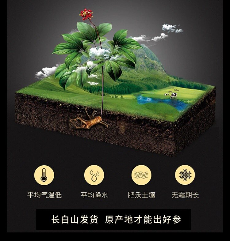 Black Ginseng Root Slices 500g Nine Steam Nine Sun Dried Korean Red Ginseng Slices for Tea and Soup overview