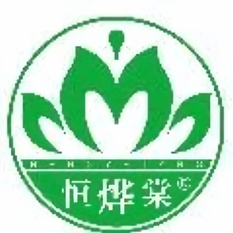 恒烨棠健康养生总店