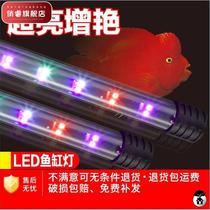 Lamp LED fish tank light waterproof and brightening diving light three-color aquarium arowana light small colorful lighting