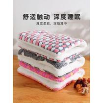 Yue Point Cat Nest Mat Flight Case Warming Mat Flannel Thickened Double-layer Pet Blanket Universal Small Size for Cats and Dogs