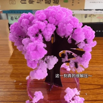 Paper tree blossoms Christmas crystal tree childrens Christmas toys magic watering crystal tree science experiment Christmas tree