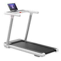 McRick treadmill household small folding intelligent climbing gym silent room for 2 generations of white rhinos