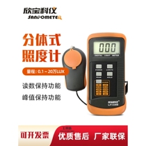 Germany and Japan imported Xinbaoke instrument illuminance meter LX1330B illuminance meter photometer illuminance meter LX-133