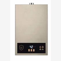 Forced exhaust automatic constant temperature 12L 0 zero water coal gas instant water heater with temperature display for home use