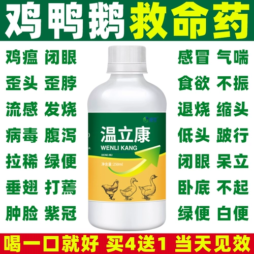 Специальное лекарство Вэнь Ликана для выращивания цыплят способно вылечить все куриные болезни, куриную чуму, простуду, кашель, храп и диарею, специальное лекарство для кур и спасительное лекарство для уток.