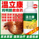 Специальное лекарство Вэнь Ликана для выращивания цыплят способно вылечить все куриные болезни, куриную чуму, простуду, кашель, храп и диарею, специальное лекарство для кур и спасительное лекарство для уток.