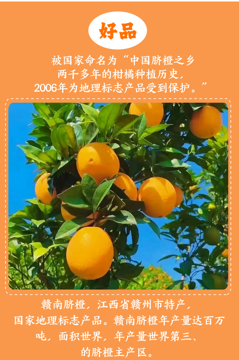 O1CN01Zgq9gm25bCuzuMM9P_!!2217813267544-0-scmitem176000.jpg