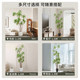 Simulated Green Plant Lily Bamboo Large Potted Accessible Luxury Floor-Standing Potted Ornaments Fake Plants Living Room Green Plant Ornaments Decoration
