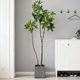 Artificial Green Plant Money Tree Nordic Large Indoor Home Entrance Floor Decoration Landscaping Potted Plant Fake Plant Fake Tree