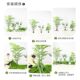 Simulated Green Plant Landscaping Combination Set Shopping Mall Indoor Bionic Fake Plant under Stairs Landscape Fake Tree Decorative Ornaments