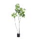 Artificial Green Plant Money Tree Nordic Large Indoor Home Entrance Floor Decoration Landscaping Potted Plant Fake Plant Fake Tree