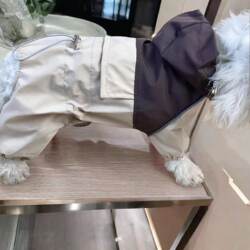 Spring and Summer Pet Dog Dog Raincoat Waterproof Four-legged parka Contrast Color Patchwork Stormtrooper Windproof Handsome Dog Clothes