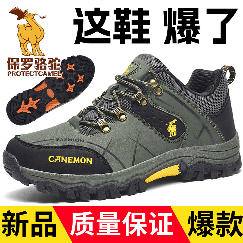 Paul Camel Men's Shoes 2025 Summer New Outdoor Non-Slip Wear-Resistant Hiking Shoes Summer Soft-Soled Walking Travel Shoes