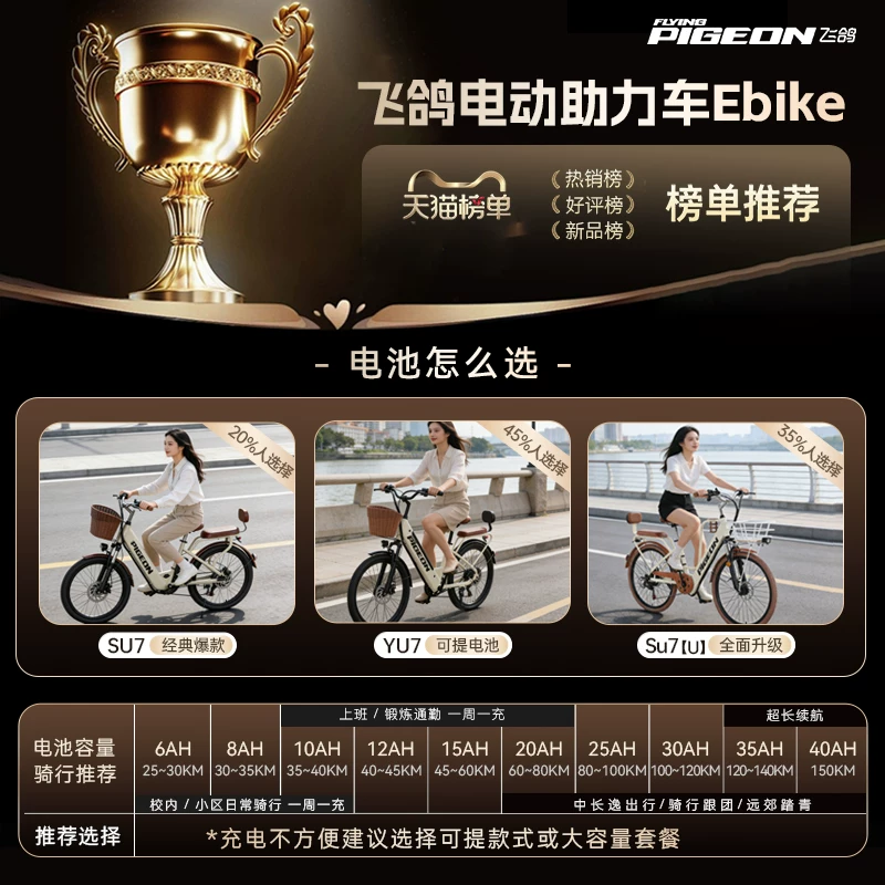 Electric bike