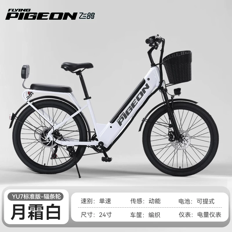 Electric bike