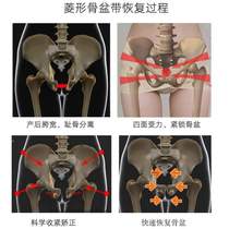 Belt correction abdominal fixation anteversion pelvic repair separation belt corrector pubic pelvic pelvis pregnant women belt postpartum