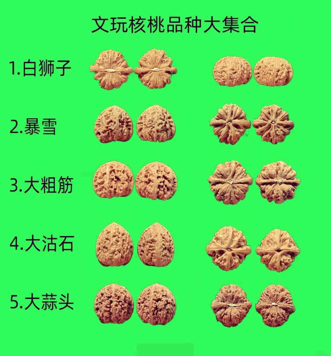 文玩核桃四座楼40 - Top 50件文玩核桃四座楼40 - 2026年6月更新- 淘宝