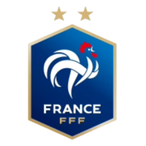 法国国家足球队旗舰店的LOGO