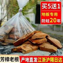 Red agent tide powder mildew-proof and insect-proof wood floor camphor pure special old root slices moth-proof blocks solid natural log camphor wood