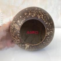 Planting open coconut shell old coconut shell DIY flower pot natural smooth@succulent coconut shell small kindergarten crafts