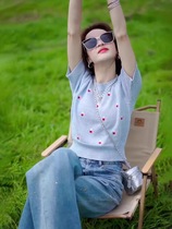 Summer new fat girl mm large size embroidered ice silk top loose slimming belly-covering knitted short-sleeved T-shirt for women