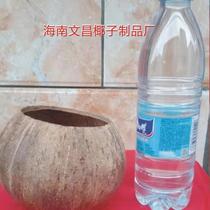 # Coconut shell old coconut shell nest opening 9 rough surface kindergarten school creative diy lamps crafts decoration materials