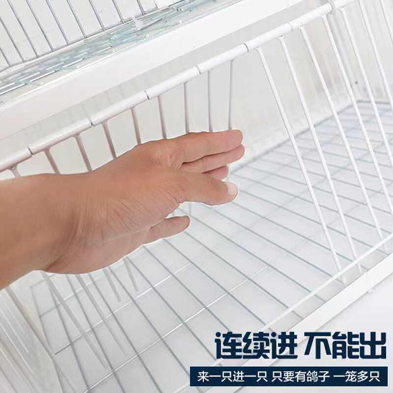 只进不出鸟笼全自动天落笼子撞门捕捉神器！抓鸽子真的太轻松了！25年最新款升级加密款测评-宠物鸡-淘宝好物网