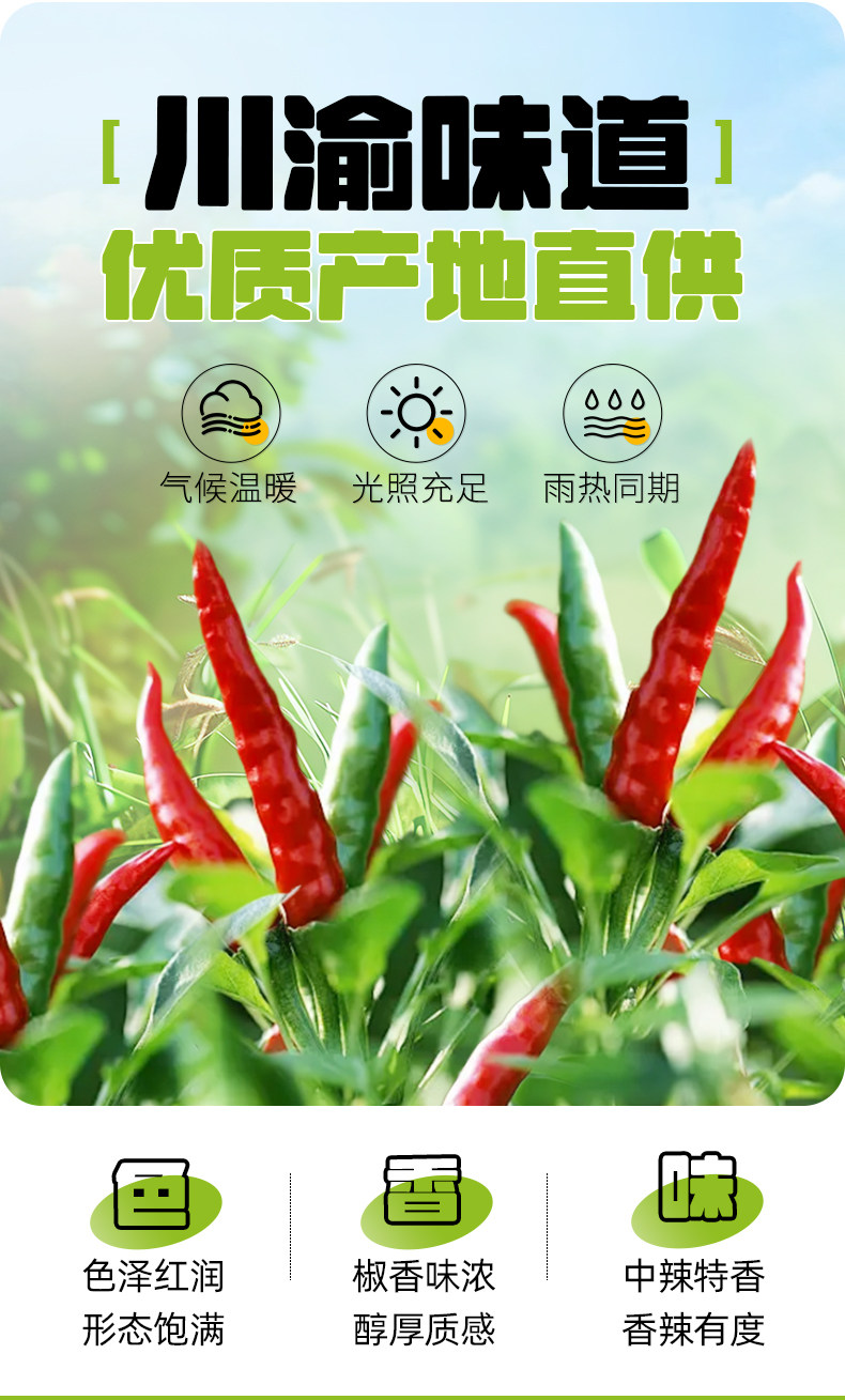 安享好物 安享A级干辣椒-谷食密语朝天椒干辣椒 国标 