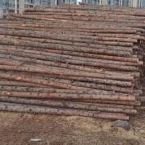 River engineering flood control piling wooden round log piles greening fir support pole larch solid wood piles