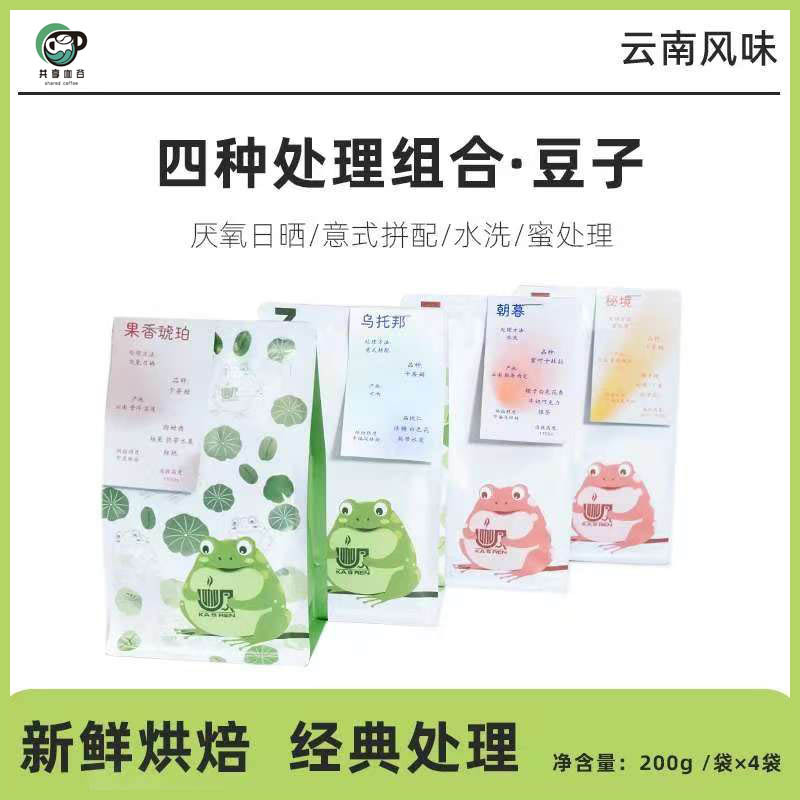 Rheyuan Coffee Yunnan Premium Coffee Beans School-Enterprise Collaboration Fruity Aromatic Americano Coffee Beans 200g Hand-Brewed Coffee