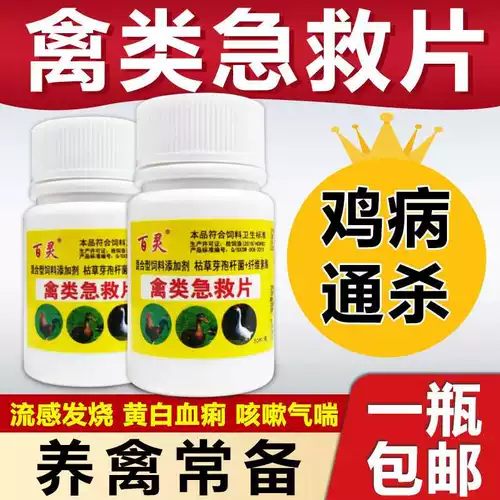 Квадратная курица квадрат курица лучшая чума специальная эффект Ducky Goose Birds и звездный течет холодный настоящий дискребленный активный активный