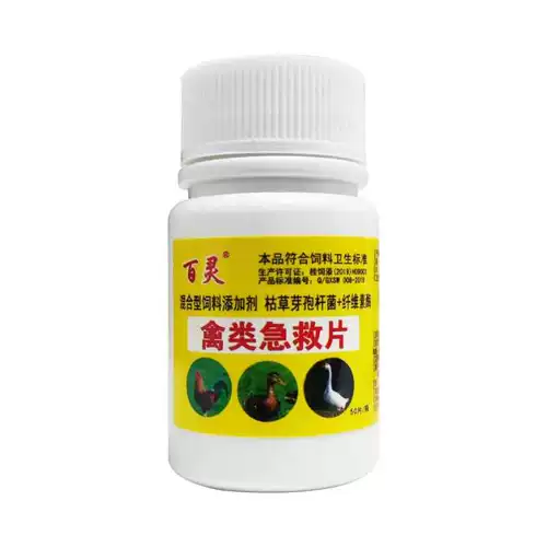 Квадратная курица квадрат курица лучшая чума специальная эффект Ducky Goose Birds и звездный течет холодный настоящий дискребленный активный активный